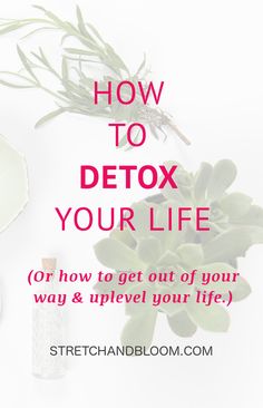 Many ambitious professional women are under tremendous pressure from juggle so many demands in life. Some come from society, however many are dues to sabotaging patterns. This article show you how to detox your life. Lifestyle Manifestation, Detox Kur, Full Body Detox, Manifestation Magic, Homemade Detox, Lifestyle Board, Personal Progress