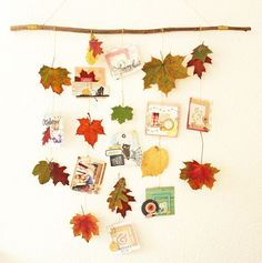 the fall leaves are hanging on the wall with pictures and magnets attached to them