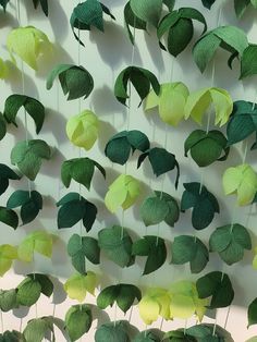 some green leaves are hanging on the wall