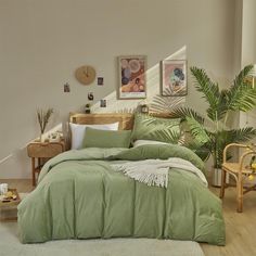 a bed with green comforter and pillows in a bedroom next to a plant on the floor