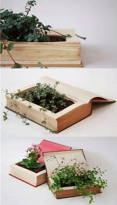 an open book with plants growing out of it and on top of each other, sitting on a white surface