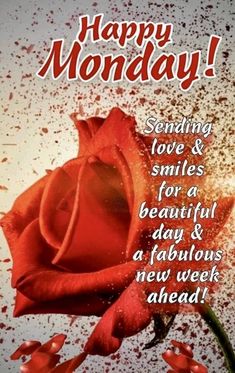 a red rose with the words happy monday on it and sprinkles around it