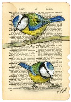 two blue and yellow birds sitting on top of a book page with words written below