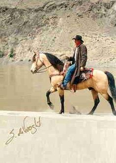 a man riding on the back of a brown horse next to a body of water