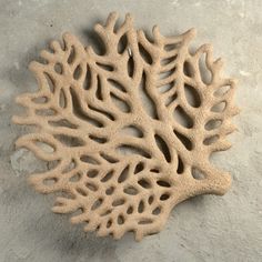 a piece of wood carved to look like corals on the beach or sea floor