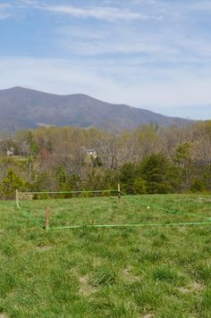 Deciding where to place the cabinon on a large piece of property with multiple views