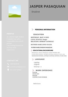 a professional resume with grey and white colors, including the green hills in the background