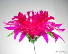 a pink flower in a vase on a table