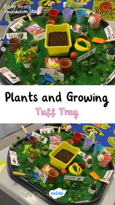 Some lovely plants tuff trays to explore the topic of plants and growing in eyfs. For more tuff tray ideas click the pin. Thanks to @_earlyyearsinspo Tuff Tray Spring Ideas, Plants And Growing Eyfs Activities, Eyfs Nature Activities, Spring Tuft Tray Ideas, Plant Tuff Tray, Plants Eyfs Activities, Plant Activities Eyfs, Growing Topic Eyfs, Planting Eyfs