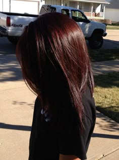 One Process Hair Color Brown, Dark Cherry Brown Hair With Highlights, Red Dye Over Dark Brown Hair, Really Dark Red Hair, Raspberry Hair Color, Chocolate Cherry Hair Color, Raspberry Hair, Wine Hair, Red Hair Inspo