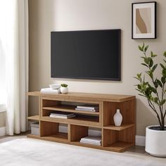 a flat screen tv sitting on top of a wooden entertainment center next to a potted plant