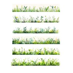 watercolor grass and flowers on white background