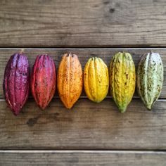 five different types of cocoa beans lined up in a row on top of a wooden table