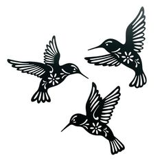 three black and white hummingbirds flying in the air with their wings spread wide open