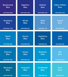 the blue hues in each color scheme