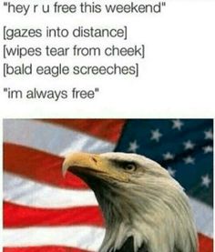 an eagle with the american flag in the background and text that reads, are you free this weekend? gazes into distance sheds single tear bald eagle