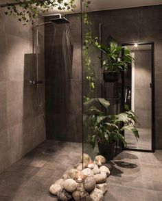 a bathroom with a shower and plants in it