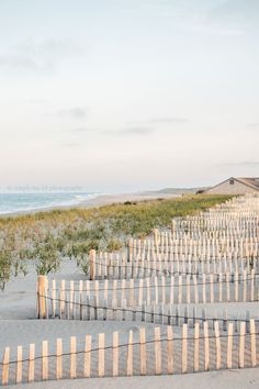 rows of wooden fences on the beach next to the ocean with grass growing in between them