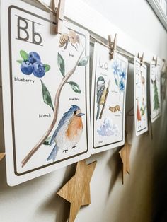 there are several cards hanging on the wall with birds and flowers in them, along with star shaped wooden pegs