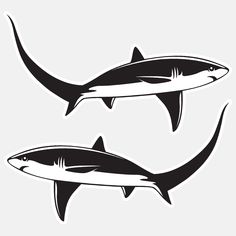 two black and white shark silhouettes on a white background