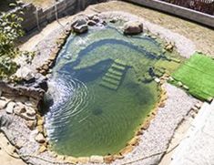 a small pond in the middle of a yard