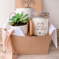 a cup and some plants in a box