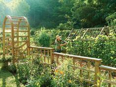 a man standing on top of a lush green field next to a garden filled with lots of flowers