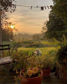 the dog is laying down on the deck in the yard, watching the sun go down