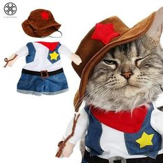 a cat wearing a cowboy hat and overalls next to a stuffed animal toy doll