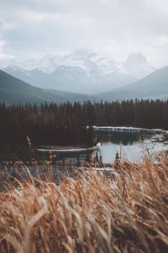 a lake surrounded by tall grass with mountains in the background