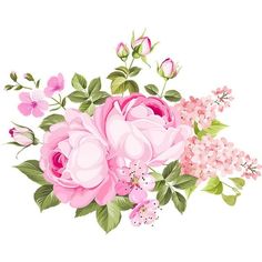 a bouquet of pink flowers with green leaves and buds on a white background for design