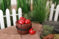 there is a small chocolate cake with cherries in it on the rocks next to some plants