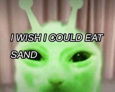 a green cat with the words i wish i could eat sand in front of it