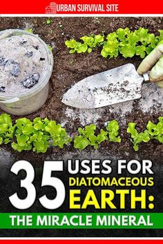 Diatomaceous earth kills critters in your food and around the house, it has many health benefits, it's cost-effective, and it's 100% natural. Mountain Medicine, Cleansing Your Home, Backyard Homesteading, Diatomaceous Earth Food Grade, Natural Cleaner, Survival Foods, Cheap Groceries, Shtf Preparedness, Survival Hacks