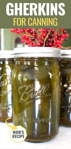 sweet gherkin cucumber pickles in a mason jar after canning Refrigerator Sweet Gherkin Pickle Recipe, Gherkin Pickle Recipe, Pickle Recipes Canning, Sweet Gherkin Pickle Recipe, Cucumber Pickle Recipes, Canning Sweet Pickles, Sweet Gherkins, Gherkin Pickles, Pickles Canning