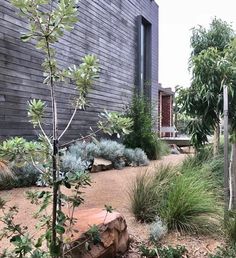 an outdoor area with plants, rocks and wooden fenced in area next to the building