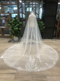 a bridal veil on display in an office building with potted plants behind it