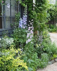 the garden is full of colorful flowers and greenery, along with graveled walkway