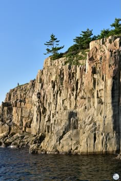 a rocky cliff with pine trees on the top and water below it in front of a clear blue sky