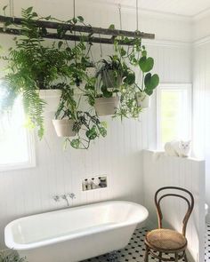 a white bath tub sitting next to a window with potted plants hanging from it