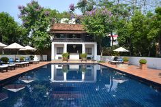 an outdoor swimming pool with lounge chairs and umbrellas in the shade, surrounded by trees