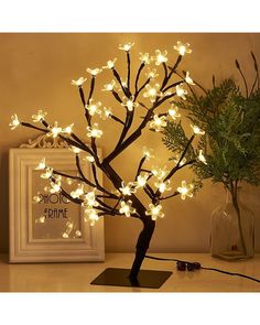 a small tree with white lights on it next to a potted plant and framed photograph