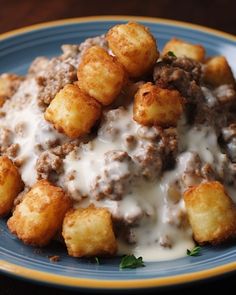 a blue plate topped with tater tots covered in gravy