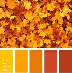 an image of autumn leaves color palette