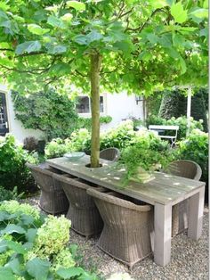 a table and chairs under a tree in a garden with green plants around the table