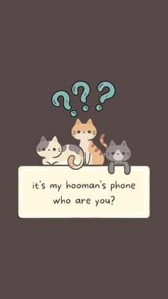 two cats sitting on top of a sign that says it's my hooman's phone who are you?