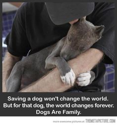 a man holding a small dog with the caption that says, if you can't refuse forever don't adopt