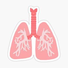 the lungs are pink and white sticker