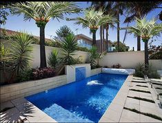 an outdoor swimming pool surrounded by palm trees and water features in the middle of it