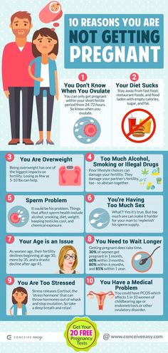 a poster with instructions on how to get pregnant and what to do if you are pregnant